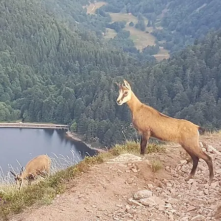 Naturezenkota Prázdninový dům