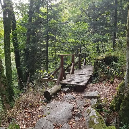 Naturezenkota Hébergement de vacances