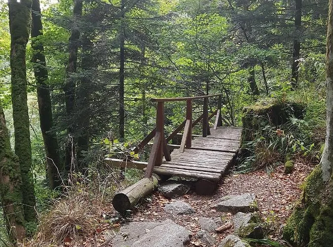 Naturezenkota Hébergement de vacances